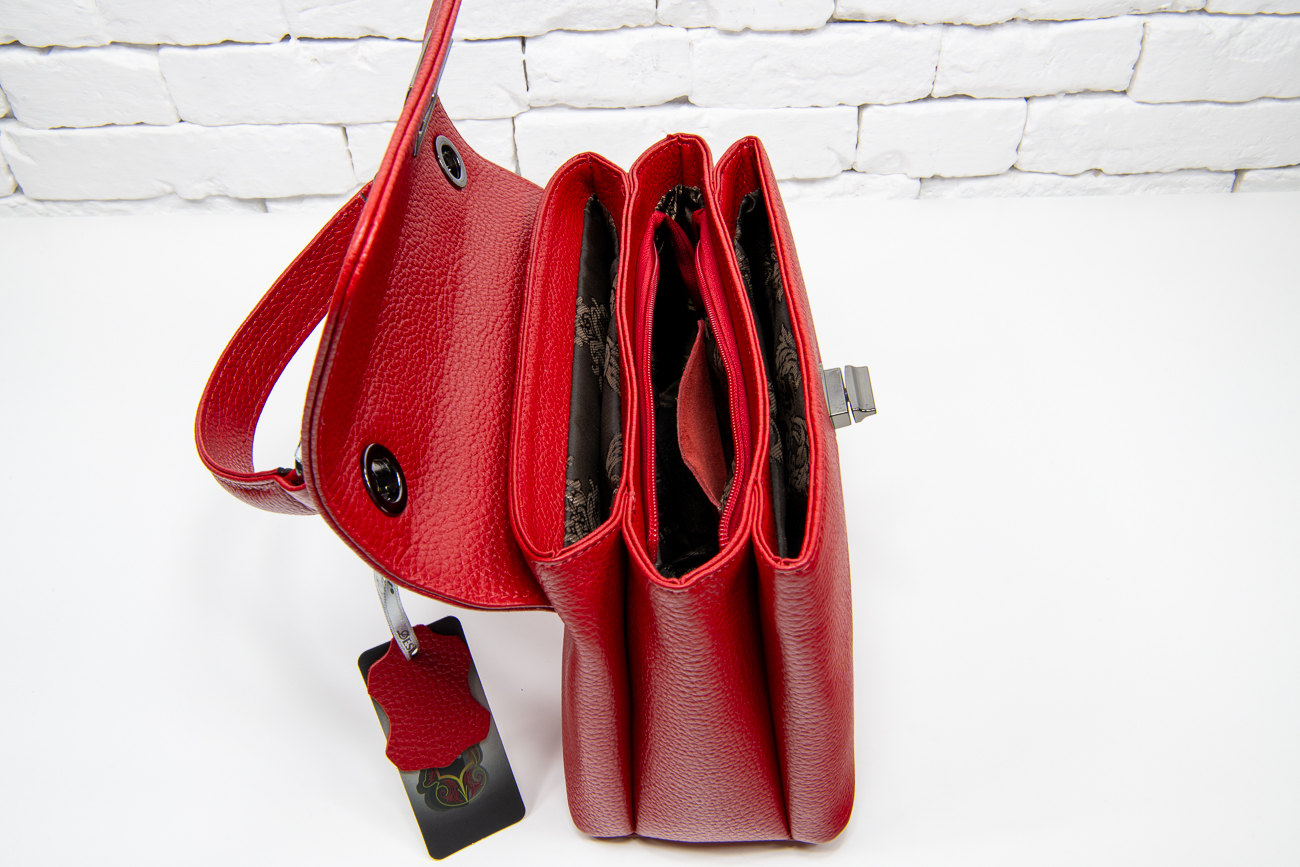 sumka Desisan 2047(41)